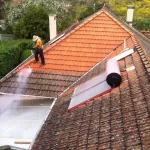 Surrey roof moss removal