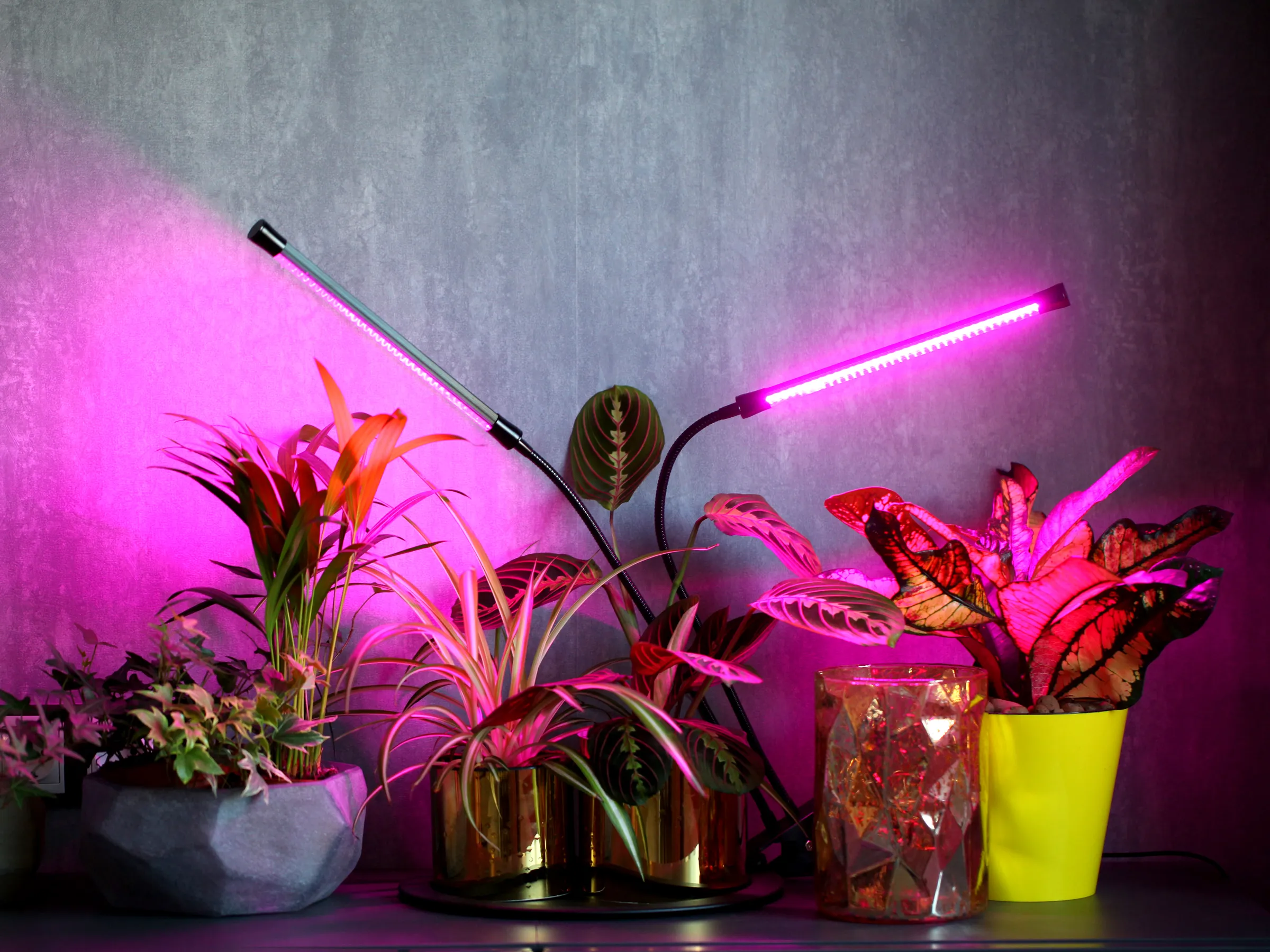 grow lights for indoor plants