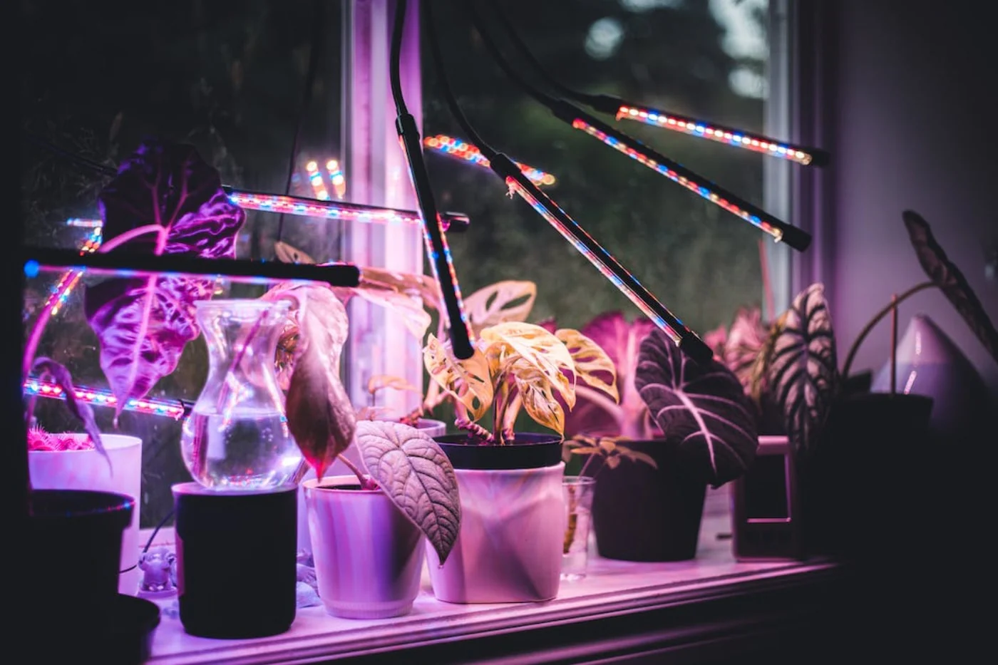 What color of grow light is the best?