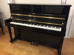 Beginner Musicians